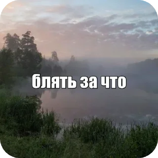 🌌 emoji ЕБЕЙШИЙ СТИКЕР ПАК ЧТОБЫ ДАЛА МАМА Telegram sticker 4 of 120