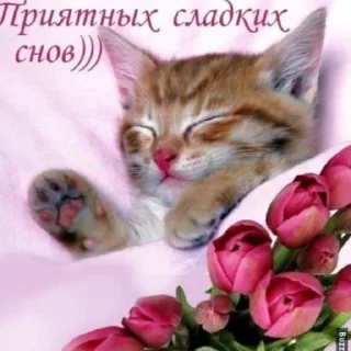 Sticker from 2пакмя