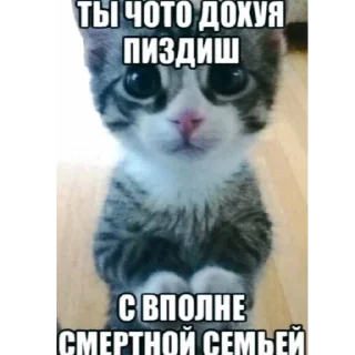 🥰 emoji лега чепуха Telegram sticker 11 of 115