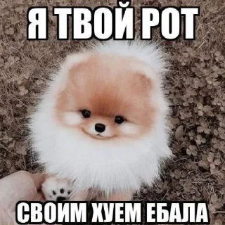 🤫 emoji лега чепуха Telegram sticker 18 of 115