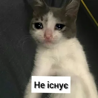 🇺🇦 emoji садок вишневий коло хати Telegram sticker 21 of 120