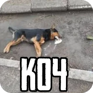 🐶 emoji супїр патріатичьнї стікєри🚲🚲🚲☝️☝️🇺🇦🇷🇺 Telegram sticker 11 of 44