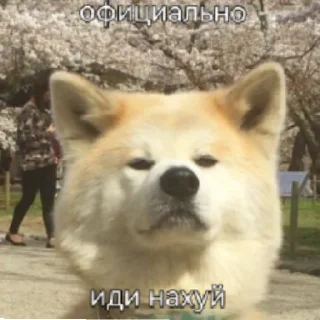 🙄 emoji шушик съест весь мир Telegram sticker 15 of 50