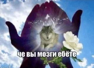 🤲 emoji это уже слишком Telegram sticker 9 of 80