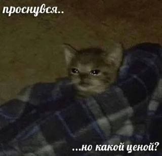 ☀️ emoji это уже слишком Telegram sticker 8 of 80