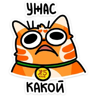 ⭐ emoji Рыжий кот Кешбэкс  @TgSticker Telegram sticker 14 of 25