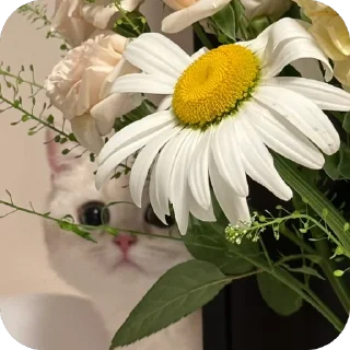 💐 emoji Мася Гномыч Telegram sticker 16 of 22