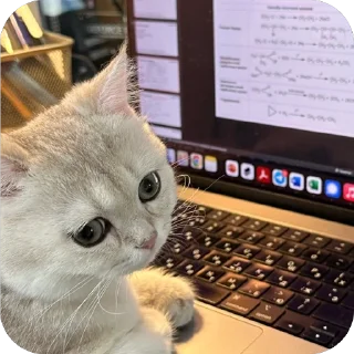 👨‍💻 emoji Мася Гномыч Telegram sticker 13 of 22