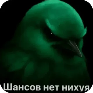 🌟 emoji Зелёные птички Telegram sticker 21 of 120