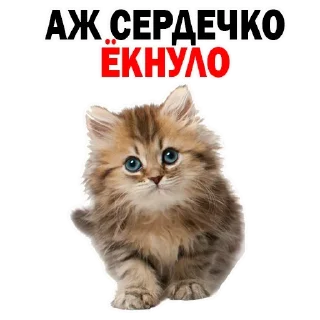 😒 emoji from Mnogoznalll to idi naxyi bluat Telegram sticker 10 of 120