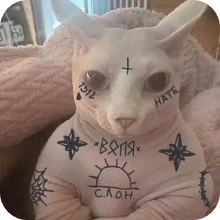 🐱 emoji ⚡Catcrew⚡ Telegram sticker 15 of 19