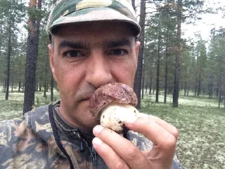 🍄 emoji грибочек лю Telegram sticker 21 of 37