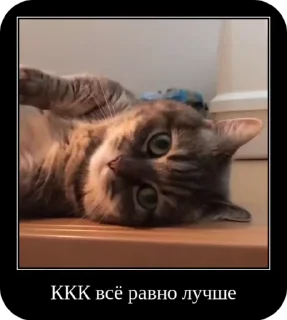 🌟 emoji Комару от коконата3 Telegram sticker 7 of 52