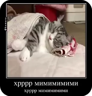 🌟 emoji Комару от коконата3 Telegram sticker 16 of 52