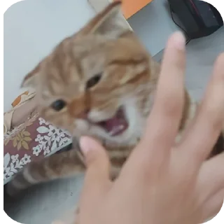 😡 emoji Хехехе Telegram sticker 9 of 88