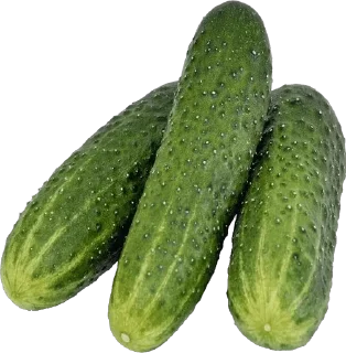 🥒 emoji 🥒 Telegram sticker 8 of 53