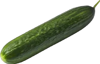 🥒 emoji 🥒 Telegram sticker 14 of 53