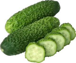 🥒 emoji 🥒 Telegram sticker 5 of 53