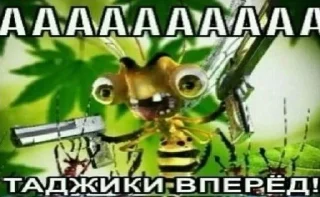 Sticker from Я КОНЧЕНЫЙ БЕГИТЕ/мем