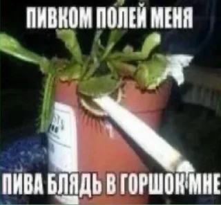 🍾 emoji Блюлок мем Telegram sticker 23 of 120