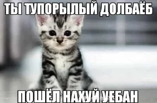 🌟 emoji эщкере Telegram sticker 7 of 54