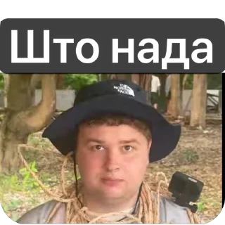 🫥 emoji В ананас Telegram sticker 16 of 17