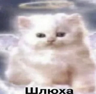 💗 emoji не пиздите мои стики Telegram sticker 6 of 50