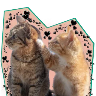 🖤 emoji ♡Примарні котики♡ Telegram sticker 24 of 36