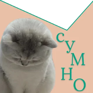 😔 emoji ♡Примарні котики♡ Telegram sticker 5 of 36