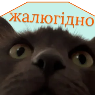 🤨 emoji ♡Примарні котики♡ Telegram sticker 20 of 36