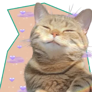 💜 emoji ♡Примарні котики♡ Telegram sticker 17 of 36