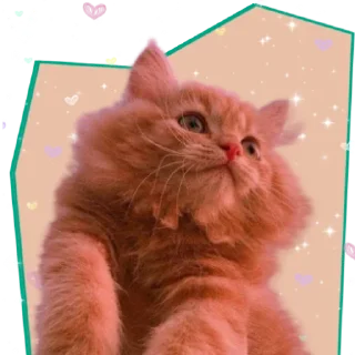 💗 emoji ♡Примарні котики♡ Telegram sticker 18 of 36