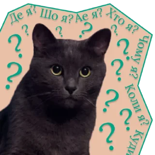 ❓ emoji ♡Примарні котики♡ Telegram sticker 22 of 36