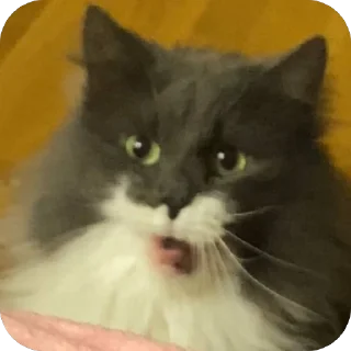 😛 emoji Аріночка Telegram sticker 8 of 16