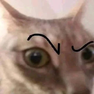 👋 emoji Люти пон Telegram sticker 24 of 24