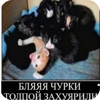 Sticker from Хахах