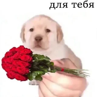😄 emoji Рен♡Хару Telegram sticker 1 of 46