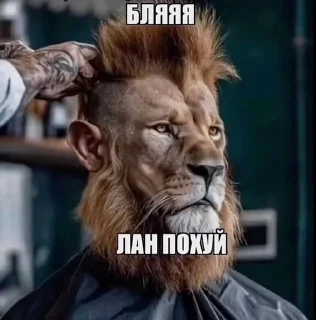 🌟 emoji сука нахуй Telegram sticker 8 of 52