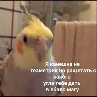 🌟 emoji Стикеры от Андрюхи Telegram sticker 13 of 116