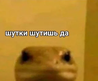 🌟 emoji Стикеры от Андрюхи Telegram sticker 12 of 116