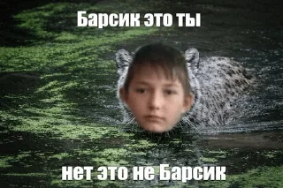 🌟 emoji Гошанчик Telegram sticker 17 of 27