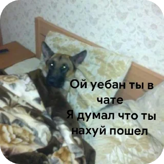 🐶 emoji Максон  Кирпич ееее Telegram sticker 16 of 43