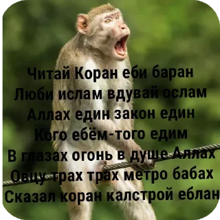 🐦 emoji Максон  Кирпич ееее Telegram sticker 23 of 43