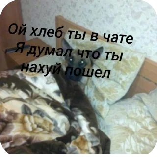 🥰 emoji Максон  Кирпич ееее Telegram sticker 15 of 43