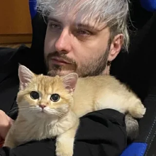 Sticker from Котёнок Ра 🥰