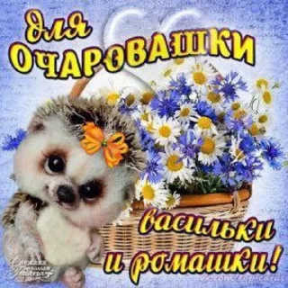 🤟 emoji лакастика2 Telegram sticker 12 of 111