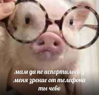 🤓 emoji Хрюшки Telegram sticker 9 of 34