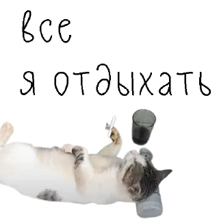 🏝 emoji коты ишачат на заводе Telegram sticker 4 of 34