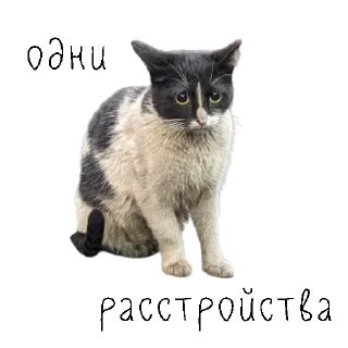 🙁 emoji коты ишачат на заводе Telegram sticker 2 of 34