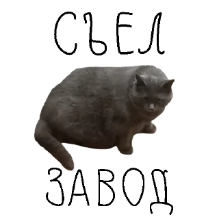 🙀 emoji коты ишачат на заводе Telegram sticker 6 of 34